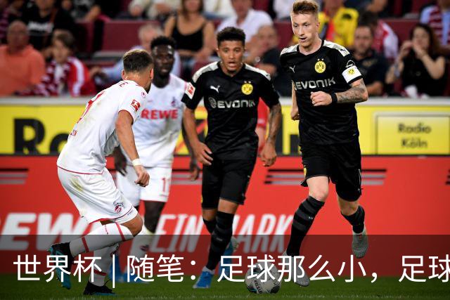 世界杯 | 随笔：足球那么小，足球这么大