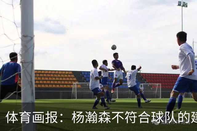体育画报：杨瀚森不符合球队的建队时间线 中锋太多 可趁机交易他