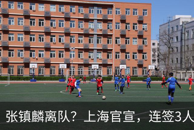 张镇麟离队？上海官宣，连签3人，1顶薪合同+1个C类+1个B类