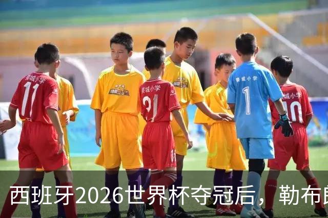 西班牙2026世界杯夺冠后，勒布朗自由球员赔率突变：热火44%概率领跑
